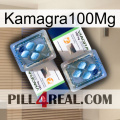 Kamagra100Mg viagra5